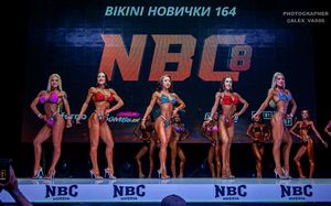 BIKINI НОВИЧКИ 164